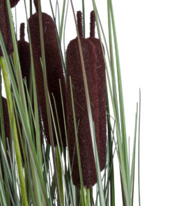 Alternative view of GloboStar® Artificial Garden TYPHA ANGUSTIFOLIA GRASS 20069 Τεχνητό Διακοσμητικό Φυτό Γρασίδι της Τύφας Υ90cm