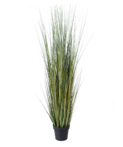 GloboStar® GloboStar® Artificial Garden PAMPAS GRASS 20072 Τεχνητό Διακοσμητικό Φυτό Γρασίδι της Πάμπας Υ170cm