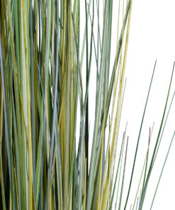 Alternative view of GloboStar® Artificial Garden ERIOPHORUM ANGUSTIFOLIUM COTTON GRASS 20073 Τεχνητό Διακοσμητικό Φυτό Γρασίδι του Βαμβακιού Υ150cm