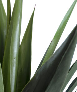 Alternative view of GloboStar® Artificial Garden SISAL AGAVE 20078 Τεχνητό Διακοσμητικό Φυτό Αγαύη Υ110cm
