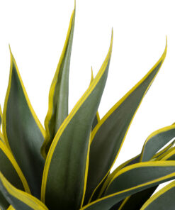 Alternative view of GloboStar® Artificial Garden SISAL AGAVE 20081 Τεχνητό Διακοσμητικό Φυτό Αγαύη Υ60cm