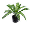 GloboStar® GloboStar® Artificial Garden TARO 20082 Τεχνητό Διακοσμητικό Φυτό Κολοκασία Υ30cm