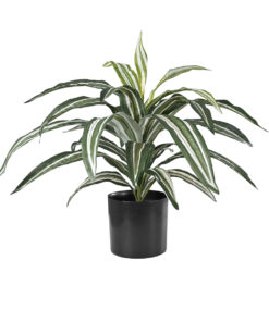 GloboStar® GloboStar® Artificial Garden BRAZILIAN IRON 20083 - Τεχνητό Διακοσμητικό Φυτό Αρωματική Δράκαινα Υ30cm