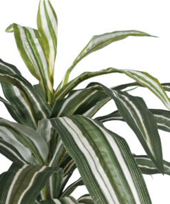 Alternative view of GloboStar® Artificial Garden BRAZILIAN IRON 20083 - Τεχνητό Διακοσμητικό Φυτό Αρωματική Δράκαινα Υ30cm