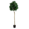 GloboStar® GloboStar® Artificial Garden LAUREL 20085 Τεχνητό Διακοσμητικό Φυτό Δάφνη Υ150cm
