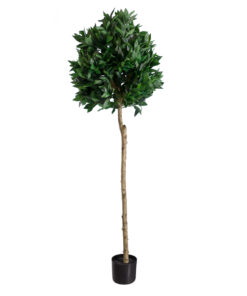 GloboStar® GloboStar® Artificial Garden LAUREL 20085 Τεχνητό Διακοσμητικό Φυτό Δάφνη Υ150cm
