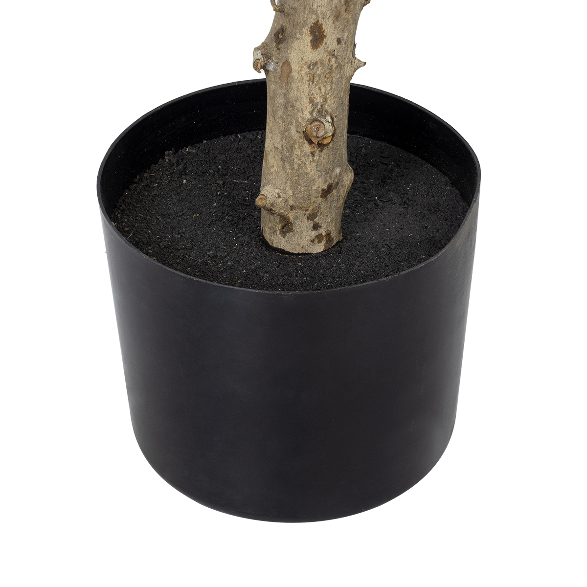 GloboStar® Artificial Garden LAUREL 20085 Τεχνητό Διακοσμητικό Φυτό Δάφνη Υ150cm 6 GloboStar® Artificial Garden LAUREL 20085 Τεχνητό Διακοσμητικό Φυτό Δάφνη Υ150cm - Image 4