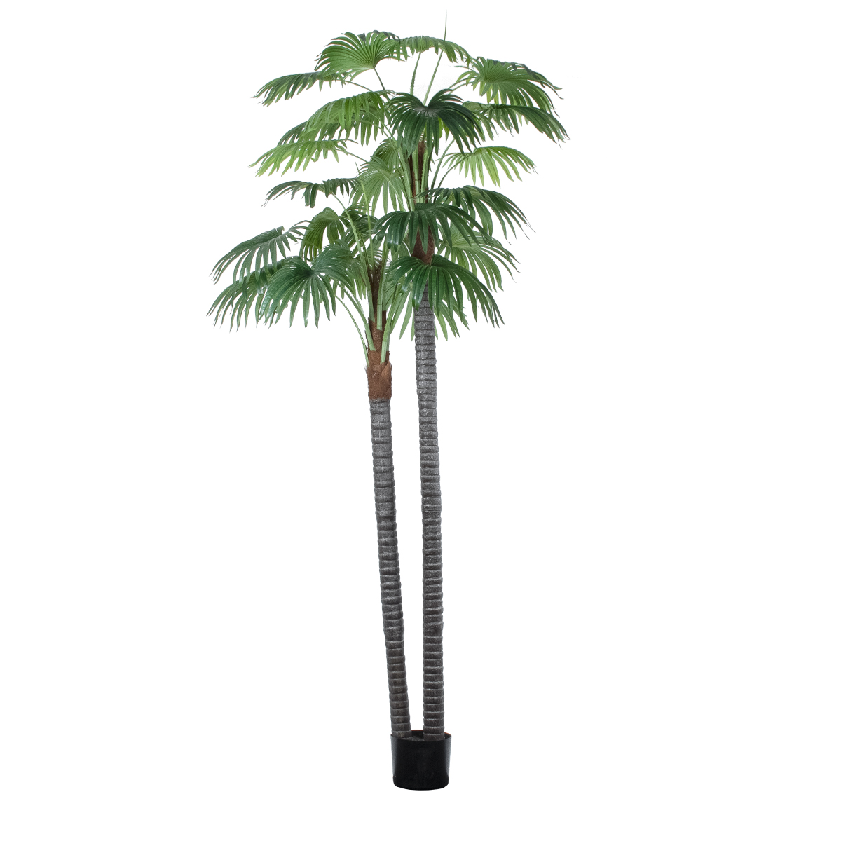 GloboStar® Artificial Garden PALM TREE 20086 Τεχνητό Διακοσμητικό Φυτό Φοινικόδεντρο Βεντάλια Υ300cm 3 GloboStar® GloboStar® Artificial Garden PALM TREE 20086 Τεχνητό Διακοσμητικό Φυτό Φοινικόδεντρο Βεντάλια Υ300cm