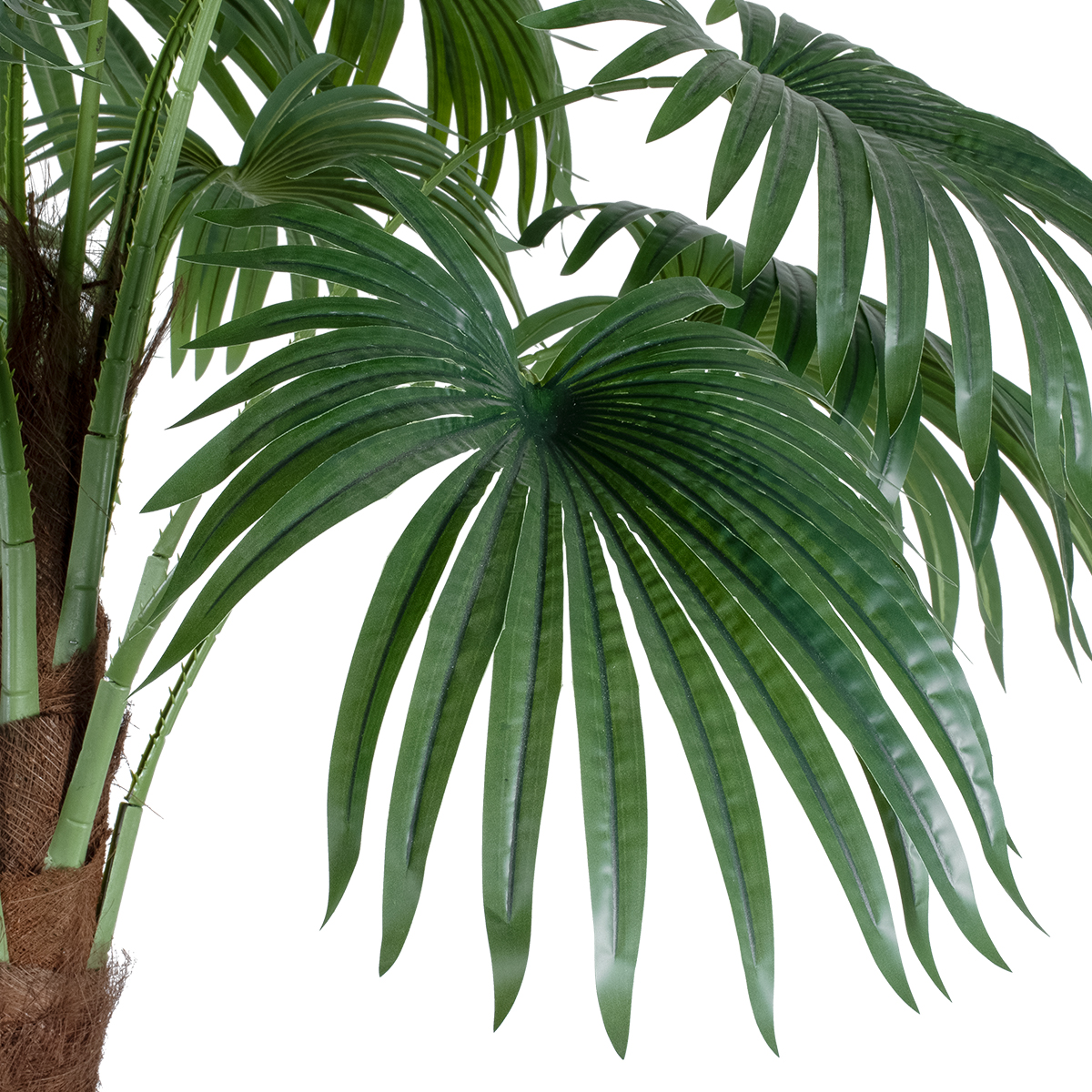 GloboStar® Artificial Garden PALM TREE 20086 Τεχνητό Διακοσμητικό Φυτό Φοινικόδεντρο Βεντάλια Υ300cm 4 GloboStar® Artificial Garden PALM TREE 20086 Τεχνητό Διακοσμητικό Φυτό Φοινικόδεντρο Βεντάλια Υ300cm - Image 2