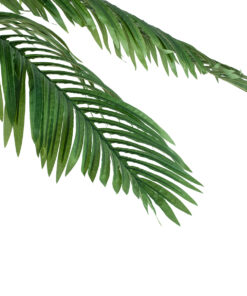 Alternative view of GloboStar® Artificial Garden COCONUT PALM TREE 20088 Τεχνητό Διακοσμητικό Φυτό Φοινικόδεντρο Κοκοφοίνικας Υ250cm