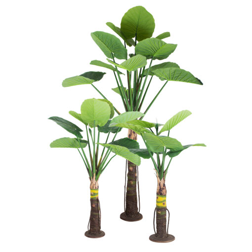GloboStar® GloboStar® Artificial Garden TARO SET 20089 Τεχνητό Διακοσμητικό Σετ Φυτών Κολοκασία A:Υ300cm B:Υ210cm C:Υ160cm