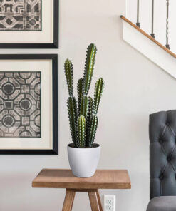 GloboStar® Artificial Garden CEREUS JAMACARU CACTUS 20095 Τεχνητό Διακοσμητικό Φυτό Κάκτος Κηρίος Υ71cm 11 20095