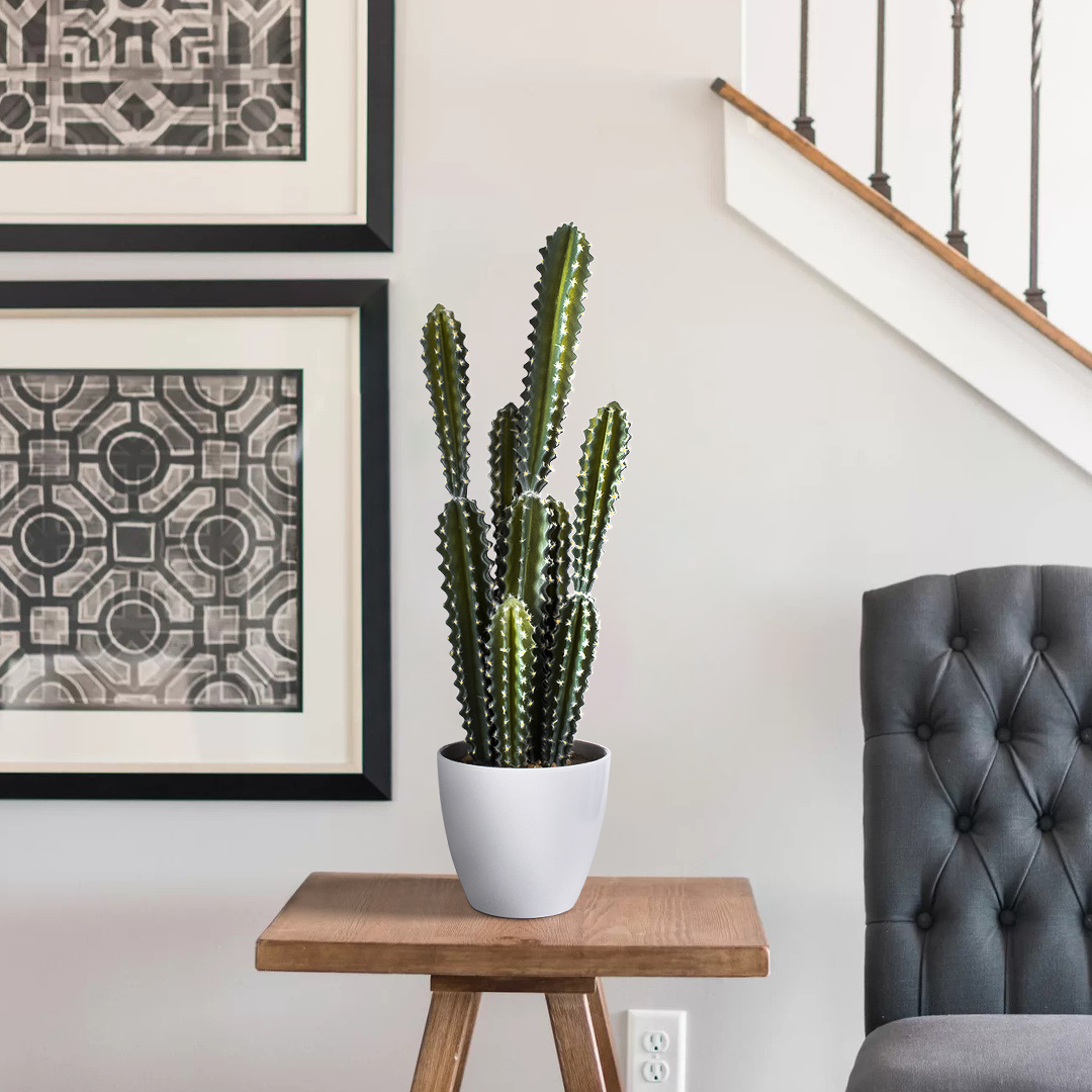 GloboStar® Artificial Garden CEREUS JAMACARU CACTUS 20095 Τεχνητό Διακοσμητικό Φυτό Κάκτος Κηρίος Υ71cm 7 GloboStar® Artificial Garden CEREUS JAMACARU CACTUS 20095 Τεχνητό Διακοσμητικό Φυτό Κάκτος Κηρίος Υ71cm - Image 5