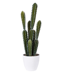 GloboStar® GloboStar® Artificial Garden CEREUS JAMACARU CACTUS 20095 Τεχνητό Διακοσμητικό Φυτό Κάκτος Κηρίος Υ71cm