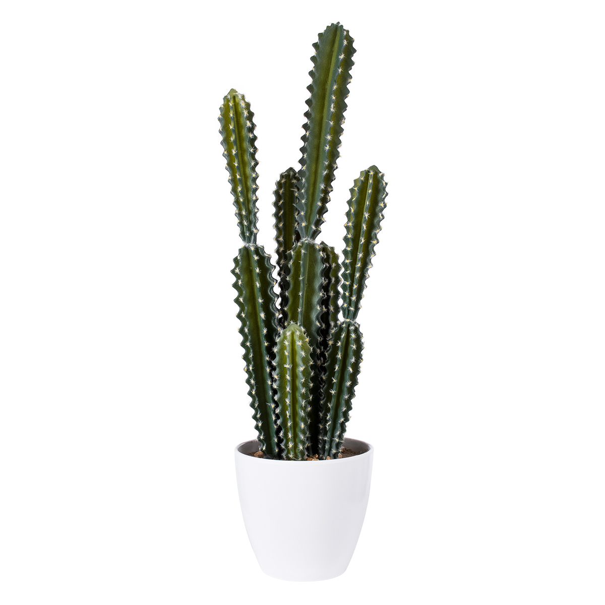 GloboStar® Artificial Garden CEREUS JAMACARU CACTUS 20095 Τεχνητό Διακοσμητικό Φυτό Κάκτος Κηρίος Υ71cm 3 GloboStar® GloboStar® Artificial Garden CEREUS JAMACARU CACTUS 20095 Τεχνητό Διακοσμητικό Φυτό Κάκτος Κηρίος Υ71cm