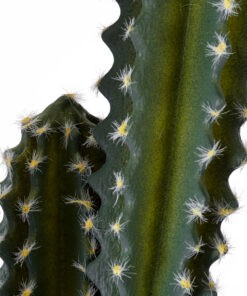 Alternative view of GloboStar® Artificial Garden CEREUS JAMACARU CACTUS 20095 Τεχνητό Διακοσμητικό Φυτό Κάκτος Κηρίος Υ71cm