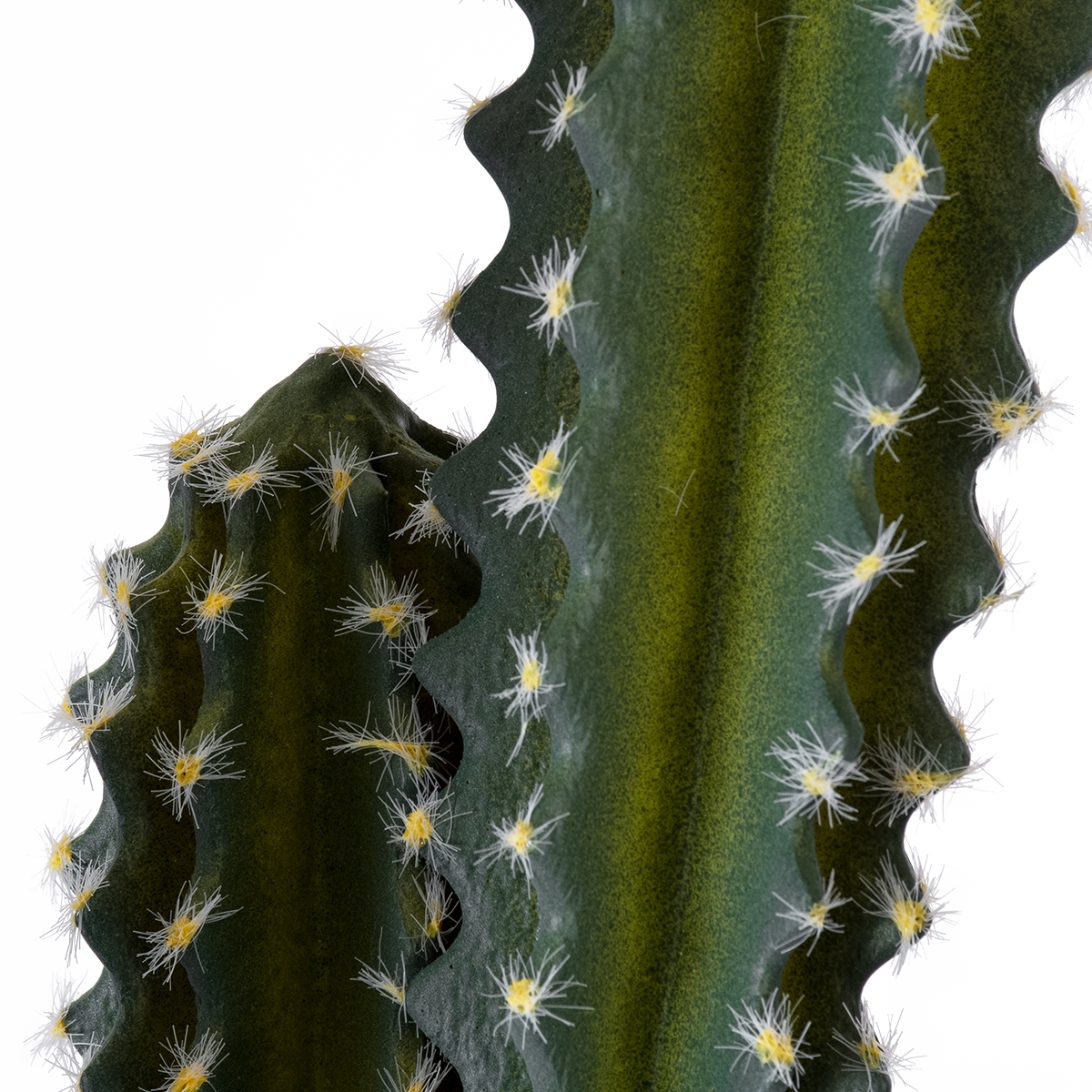 GloboStar® Artificial Garden CEREUS JAMACARU CACTUS 20095 Τεχνητό Διακοσμητικό Φυτό Κάκτος Κηρίος Υ71cm 4 GloboStar® Artificial Garden CEREUS JAMACARU CACTUS 20095 Τεχνητό Διακοσμητικό Φυτό Κάκτος Κηρίος Υ71cm - Image 2