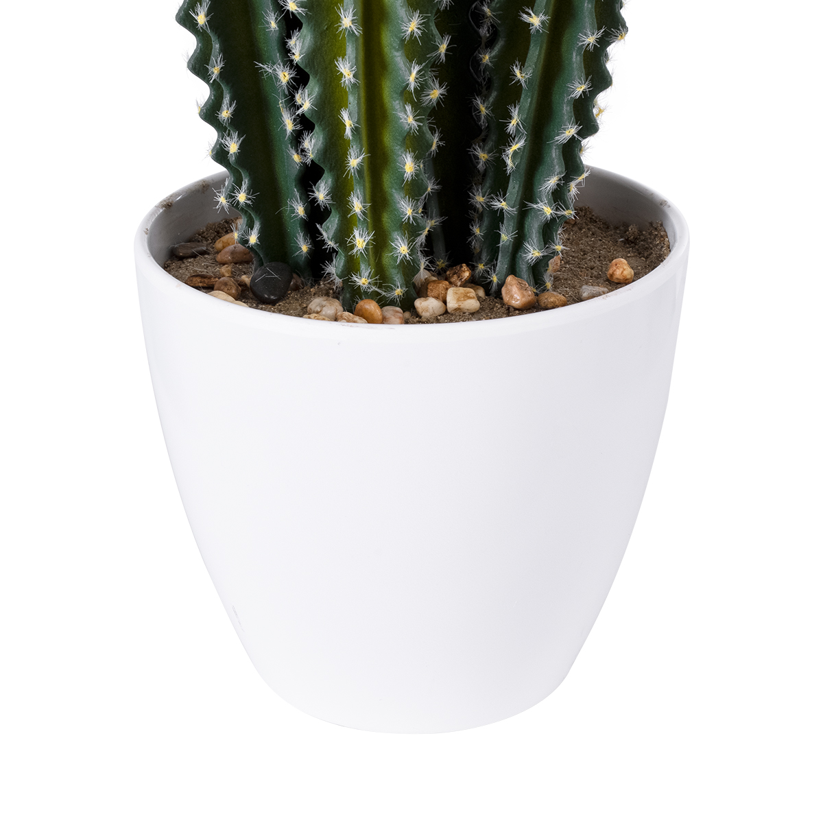 GloboStar® Artificial Garden CEREUS JAMACARU CACTUS 20095 Τεχνητό Διακοσμητικό Φυτό Κάκτος Κηρίος Υ71cm 5 GloboStar® Artificial Garden CEREUS JAMACARU CACTUS 20095 Τεχνητό Διακοσμητικό Φυτό Κάκτος Κηρίος Υ71cm - Image 3