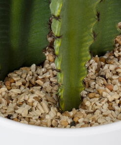 GloboStar® Artificial Garden CEREUS JAMACARU CACTUS 20099 Τεχνητό Διακοσμητικό Φυτό Κάκτος Κηρίος Υ66cm 9 20099 5