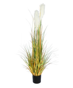 GloboStar® GloboStar® Artificial Garden PAMPAS GRASS 20105 Τεχνητό Διακοσμητικό Φυτό Γρασίδι της Πάμπας Υ150cm
