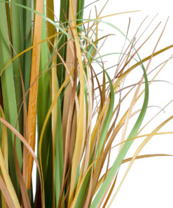 GloboStar® Artificial Garden PAMPAS GRASS 20107 Τεχνητό Διακοσμητικό Φυτό Γρασίδι της Πάμπας Υ88cm 7 20107 4
