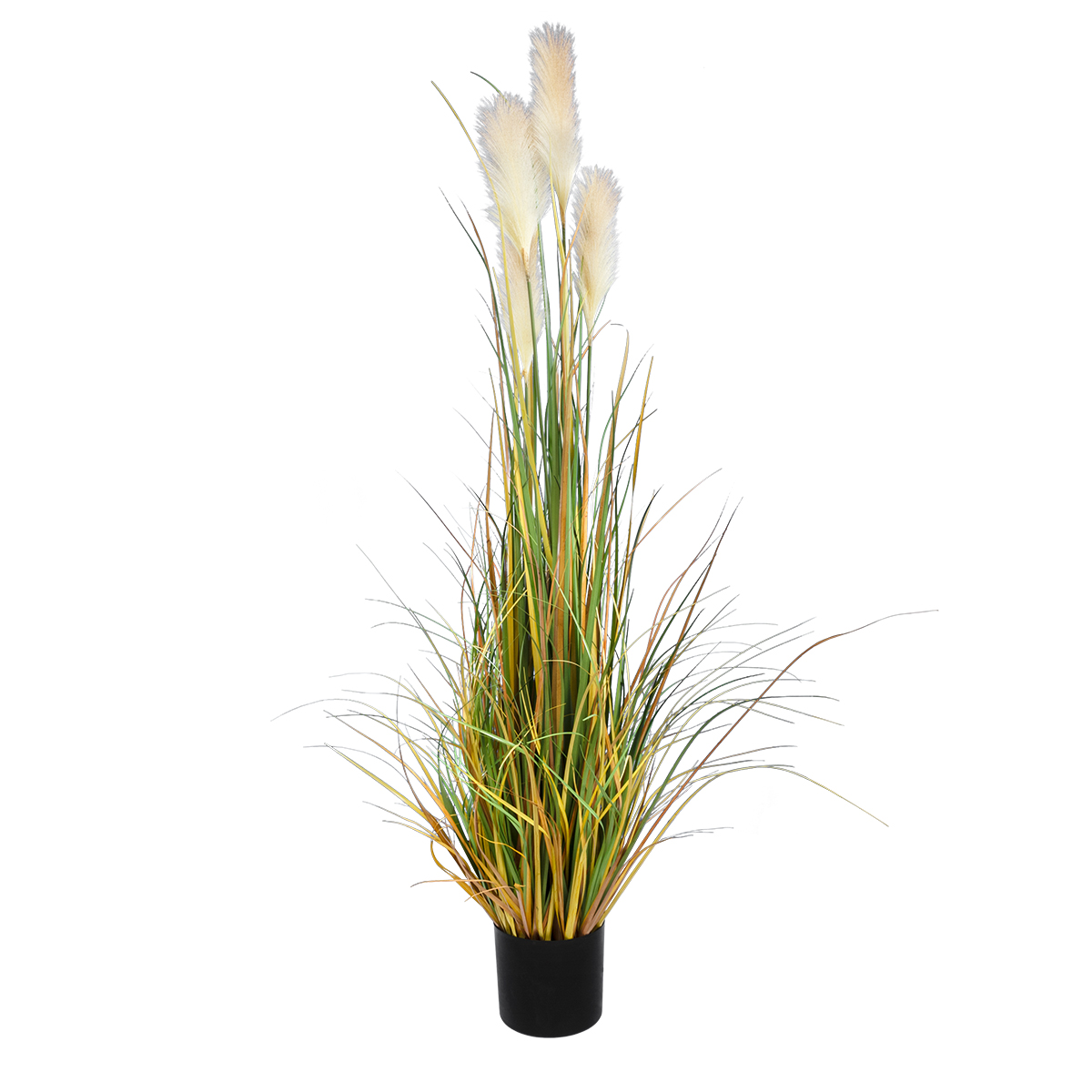 GloboStar® Artificial Garden PAMPAS GRASS 20108 Τεχνητό Διακοσμητικό Φυτό Γρασίδι της Πάμπας Υ150cm 3 GloboStar® GloboStar® Artificial Garden PAMPAS GRASS 20108 Τεχνητό Διακοσμητικό Φυτό Γρασίδι της Πάμπας Υ150cm