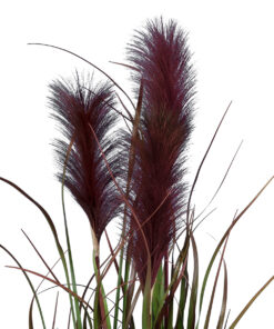 Alternative view of GloboStar® Artificial Garden BLOODY PAMPAS GRASS 20109 Τεχνητό Διακοσμητικό Φυτό Αιματόφυλλο Γρασίδι της Πάμπας Υ85cm