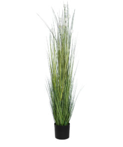 GloboStar® GloboStar® Artificial Garden LAGURUS GRASS 20111 Τεχνητό Διακοσμητικό Φυτό Λαγοουρά Υ150cm