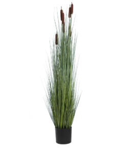 GloboStar® GloboStar® Artificial Garden TYPHA ANGUSTIFOLIA GRASS 20113 Τεχνητό Διακοσμητικό Φυτό Γρασίδι της Τύφας Υ150cm