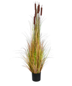 GloboStar® GloboStar® Artificial Garden TYPHA ANGUSTIFOLIA GRASS 20114 Τεχνητό Διακοσμητικό Φυτό Γρασίδι της Τύφας Υ150cm