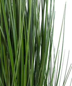 Alternative view of GloboStar® Artificial Garden MISCANTHUS SINENSIS 20116 Τεχνητό Διακοσμητικό Φυτό Μίσχανθος Υ120cm