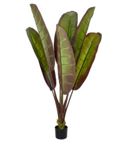 GloboStar® GloboStar® Artificial Garden BLOODY BANANA TREE 20117 - Τεχνητό Διακοσμητικό Φυτό Αιματόφυλλη Μπανανιά - Μπανανόδεντρο Υ160cm