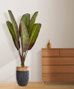 GloboStar® Artificial Garden BLOODY BANANA TREE 20117 - Τεχνητό Διακοσμητικό Φυτό Αιματόφυλλη Μπανανιά - Μπανανόδεντρο Υ160cm 9 20117 20744