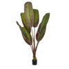 GloboStar® GloboStar® Artificial Garden BLOODY BANANA TREE 20119 - Τεχνητό Διακοσμητικό Φυτό Αιματόφυλλη Μπανανιά - Μπανανόδεντρο Υ220cm