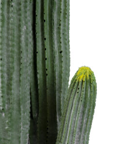 Alternative view of GloboStar® Artificial Garden CARNEGIEA CACTUS 20121 Τεχνητό Διακοσμητικό Φυτό Κάκτος Σαγκουάρο Υ80cm
