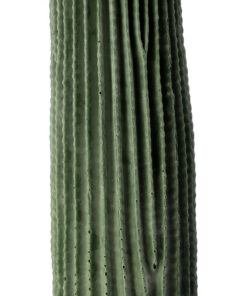 Alternative view of GloboStar® Artificial Garden CARNEGIEA CACTUS 20125 Τεχνητό Διακοσμητικό Φυτό Κάκτος Σαγκουάρο Υ85cm