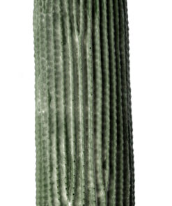 Alternative view of GloboStar® Artificial Garden CARNEGIEA CACTUS 20126 Τεχνητό Διακοσμητικό Φυτό Κάκτος Σαγκουάρο Υ100cm