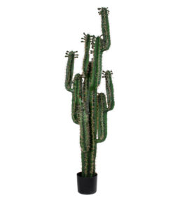 GloboStar® GloboStar® Artificial Garden MYRTILLOCACTUS 20128 Τεχνητό Διακοσμητικό Φυτό Μυρτιλλόκακτος Υ150cm