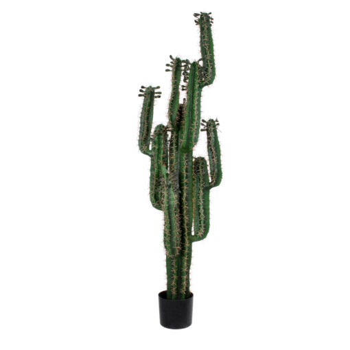 GloboStar® GloboStar® Artificial Garden MYRTILLOCACTUS 20128 Τεχνητό Διακοσμητικό Φυτό Μυρτιλλόκακτος Υ150cm