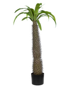 GloboStar® GloboStar® Artificial Garden PACHYPODIUM LAMEREI PALM TREE 20129 Τεχνητό Διακοσμητικό Φυτό Φοίνικας της Μαγαδασκάρης Υ105cm