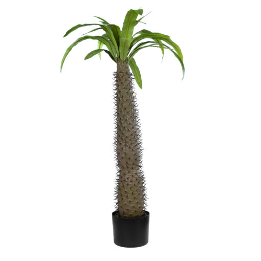 GloboStar® GloboStar® Artificial Garden PACHYPODIUM LAMEREI PALM TREE 20129 Τεχνητό Διακοσμητικό Φυτό Φοίνικας της Μαγαδασκάρης Υ105cm
