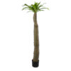 GloboStar® GloboStar® Artificial Garden PACHYPODIUM LAMEREI PALM TREE 20130 Τεχνητό Διακοσμητικό Φυτό Φοίνικας της Μαγαδασκάρης Υ175cm