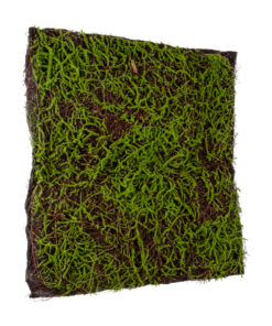 GloboStar® Artificial Garden BRYOPHYTA 20143 Τεχνητό Διακοσμητικό Πάνελ Φυλλωσιάς - Κάθετος Κήπος Βρύα Μ100 x Π100 x Υ5cm 10 20143 4