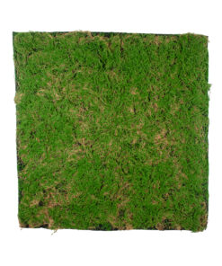 GloboStar® GloboStar® Artificial Garden BRYOPHYTA 20144 Τεχνητό Διακοσμητικό Πάνελ Φυλλωσιάς - Κάθετος Κήπος Βρύα Μ100 x Π100 x Υ3cm