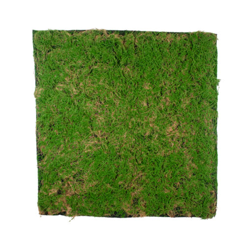 GloboStar® GloboStar® Artificial Garden BRYOPHYTA 20144 Τεχνητό Διακοσμητικό Πάνελ Φυλλωσιάς - Κάθετος Κήπος Βρύα Μ100 x Π100 x Υ3cm