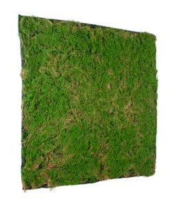 GloboStar® Artificial Garden BRYOPHYTA 20144 Τεχνητό Διακοσμητικό Πάνελ Φυλλωσιάς - Κάθετος Κήπος Βρύα Μ100 x Π100 x Υ3cm 11 20144 4