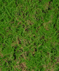 GloboStar® Artificial Garden BRYOPHYTA 20144 Τεχνητό Διακοσμητικό Πάνελ Φυλλωσιάς - Κάθετος Κήπος Βρύα Μ100 x Π100 x Υ3cm 12 20144 5