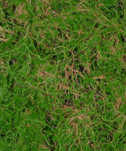 GloboStar® Artificial Garden BRYOPHYTA 20144 Τεχνητό Διακοσμητικό Πάνελ Φυλλωσιάς - Κάθετος Κήπος Βρύα Μ100 x Π100 x Υ3cm 13 20144 6