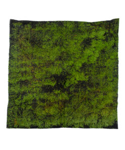 GloboStar® GloboStar® Artificial Garden BRYOPHYTA 20146 Τεχνητό Διακοσμητικό Πάνελ Φυλλωσιάς - Κάθετος Κήπος Βρύα Μ100 x Π100 x Υ2cm