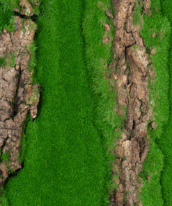 GloboStar® Artificial Garden BRYOPHYTA 20147 Τεχνητό Διακοσμητικό Πάνελ Φυλλωσιάς - Κάθετος Κήπος Βρύα Μ100 x Π100 x Υ3cm 12 20147 5